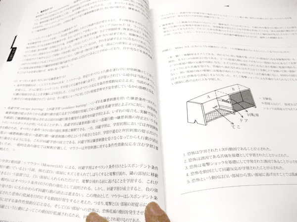 教科書の本文のページデザイン