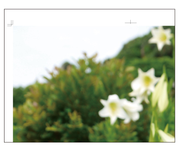 きれいに貼り合わされたポスターの表面を確認する様子